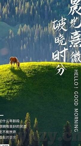 麻豆传媒一二三区-观照数字时代的媒介文化，麻豆传媒一二三区解读